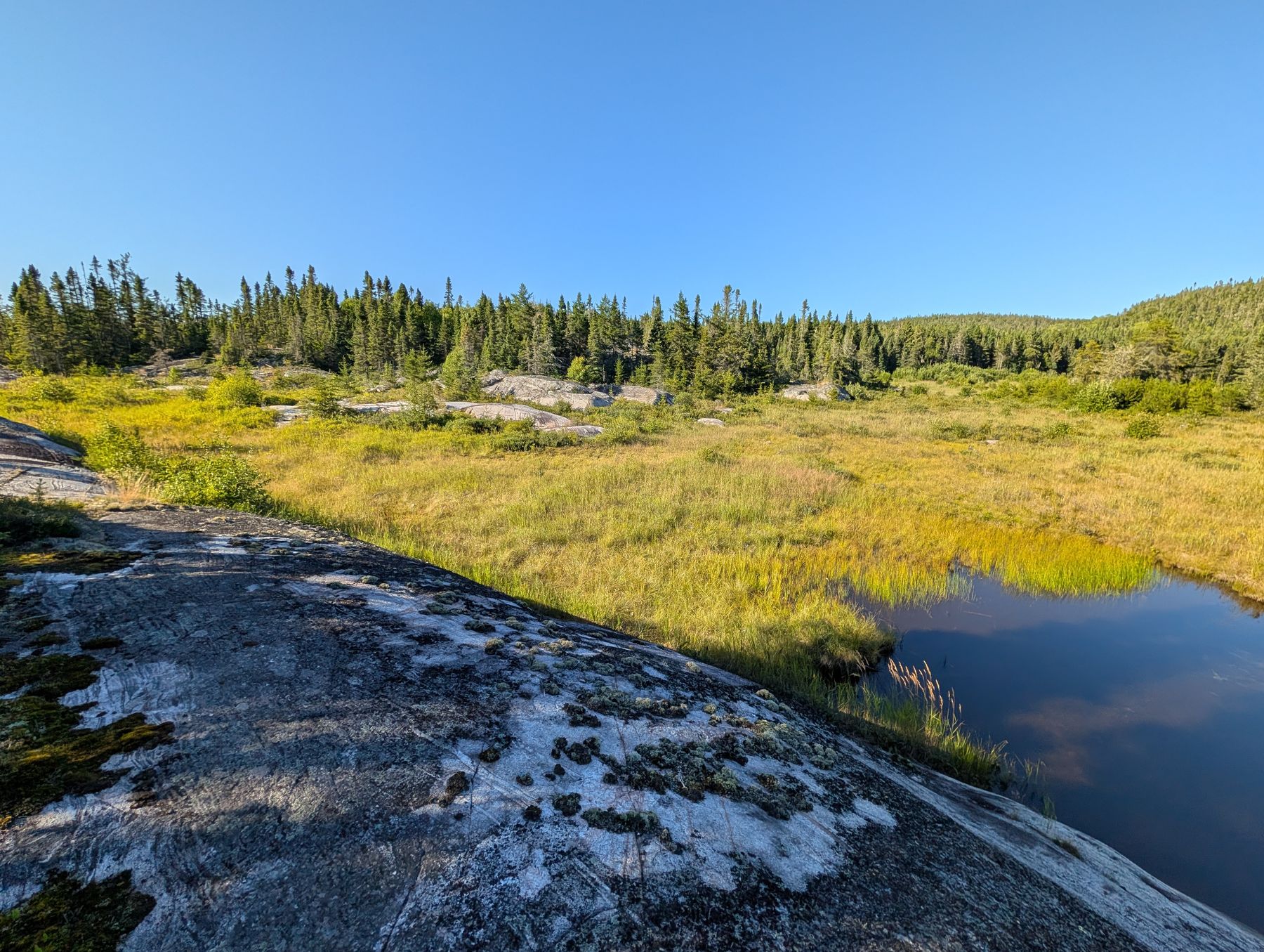 A still pond and marsh grass in the late light of the third day