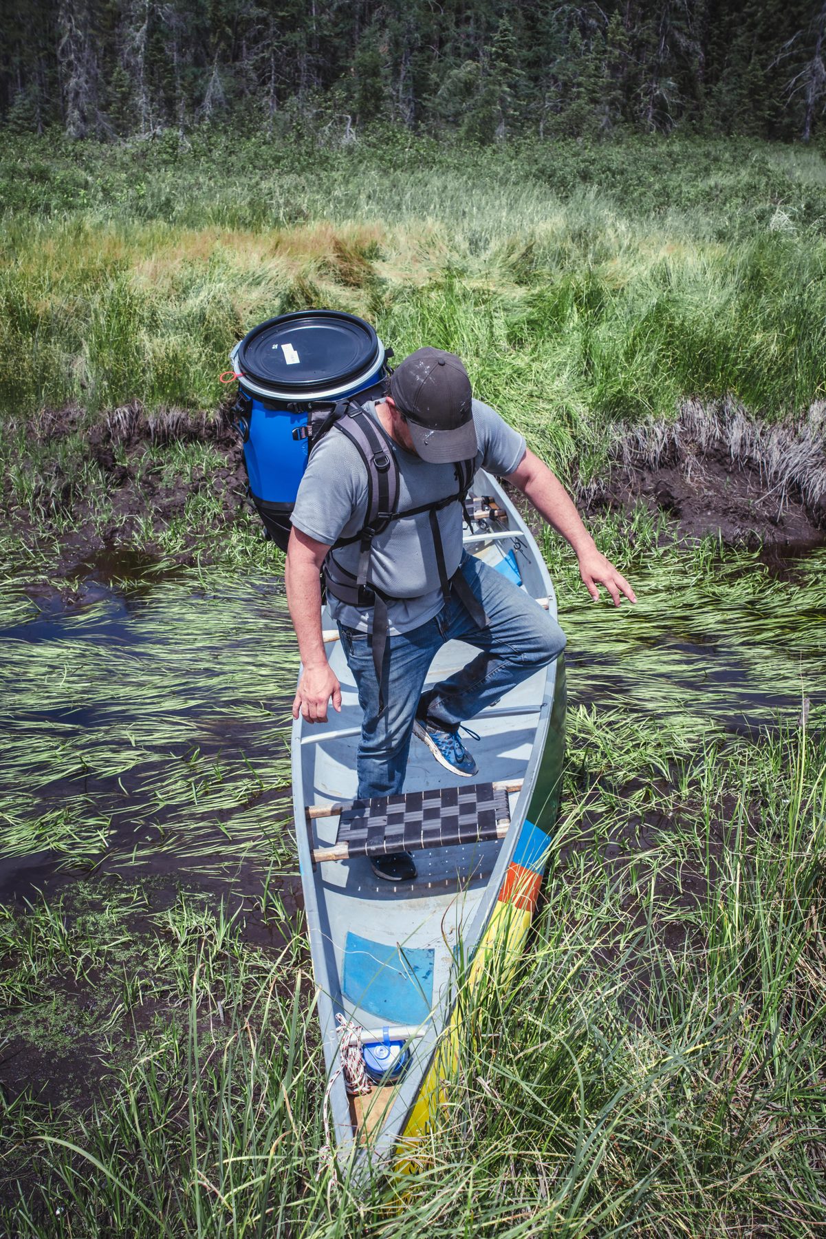 Stepping ashore through a wild-rice creek