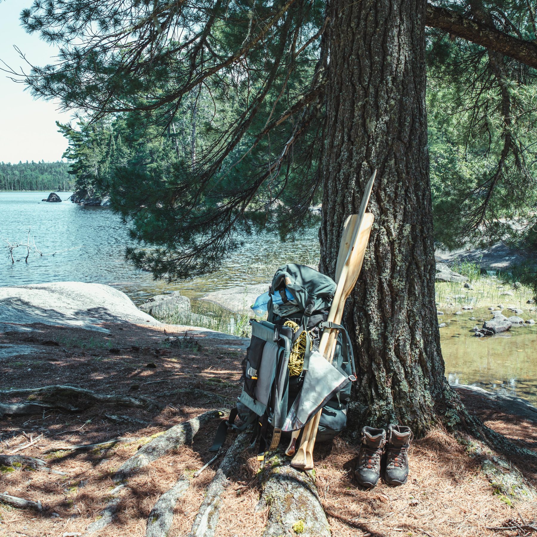 Pack, paddles, and boots at the campsite pine