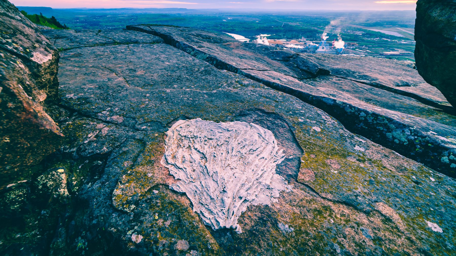 A heart-shaped patch of lichen on the lookout rock, city below